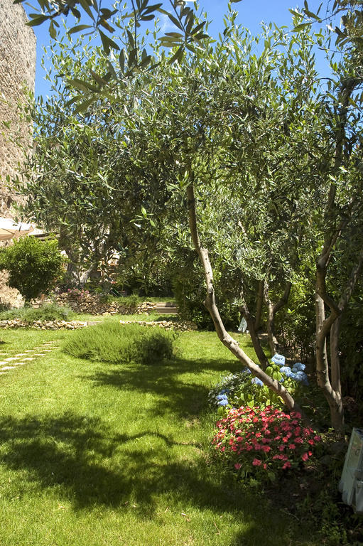 Locanda Delle Mura Anna De Croy Magliano in Toscana Zewnętrze zdjęcie