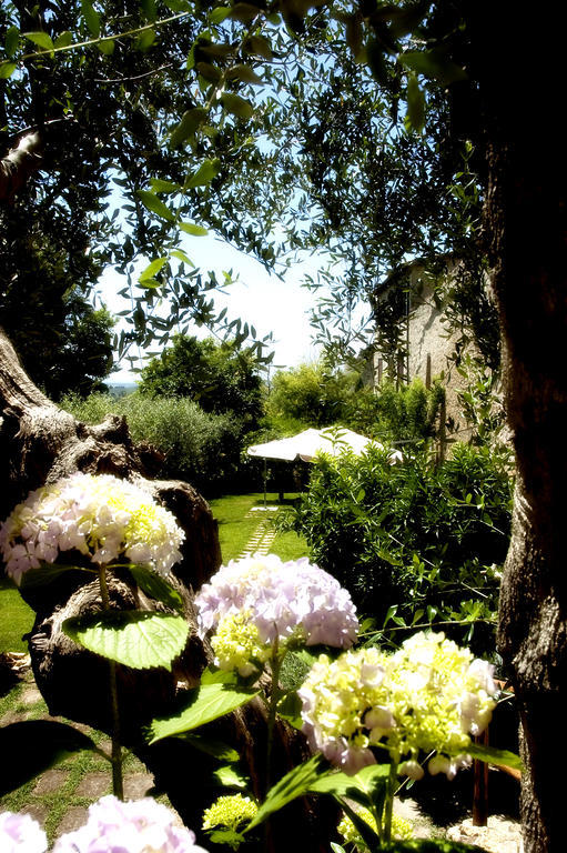 Locanda Delle Mura Anna De Croy Magliano in Toscana Zewnętrze zdjęcie